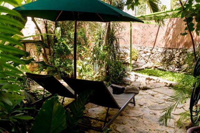 La Selva By Majikal B&B Mérida Exteriör bild