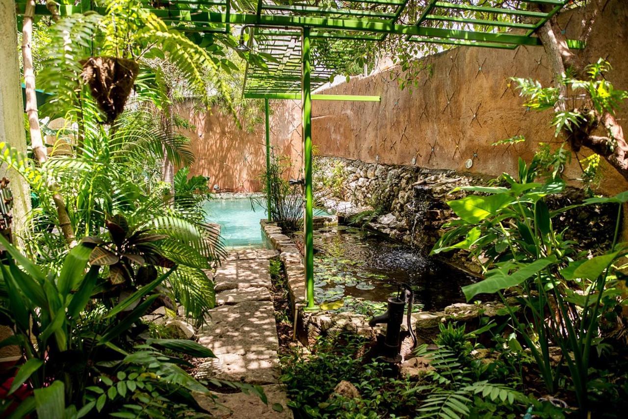 La Selva By Majikal B&B Mérida Exteriör bild